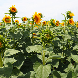 Similar image 21390687