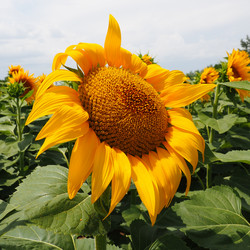 Similar image 21390688