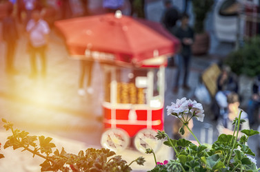 Similar image 21392771