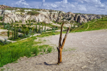 Similar image 21393136