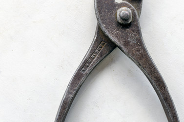 Similar image 21390997