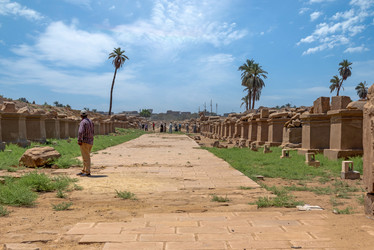 Similar image 21391654