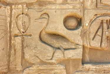 Similar image 21392449