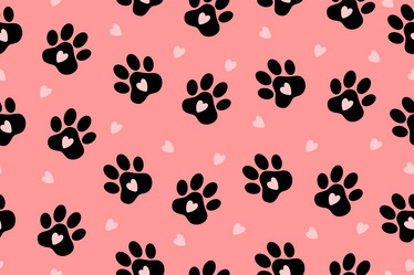 Similar image 21384154