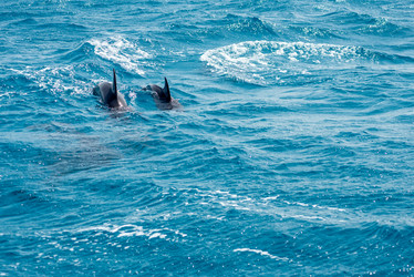 Similar image 21391975