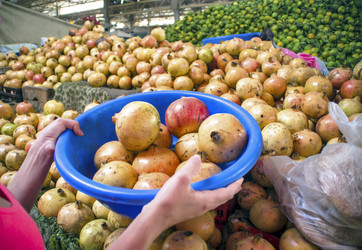 Similar image 21391976