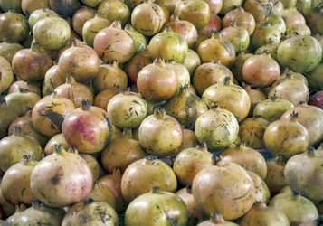 Similar image 21391979