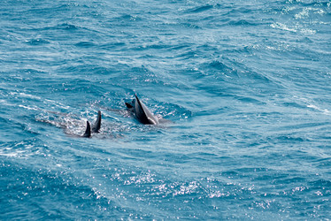 Similar image 21392185