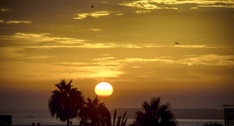 Similar image 21392460