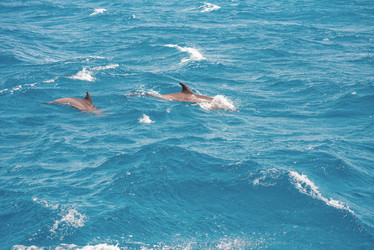 Similar image 21392798