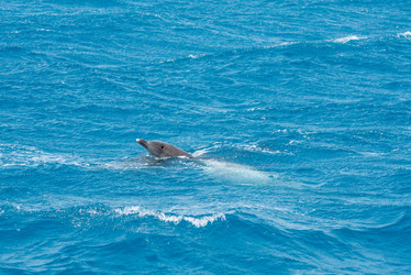 Similar image 21392804