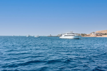 Similar image 21393162