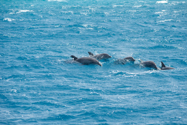 Similar image 21393165