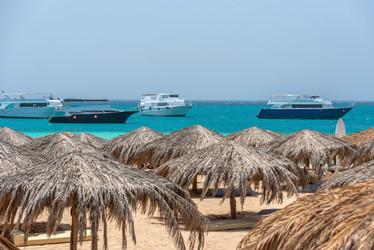 Similar image 21394291