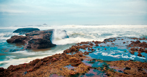 Similar image 21394568