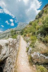 Similar image 21394305