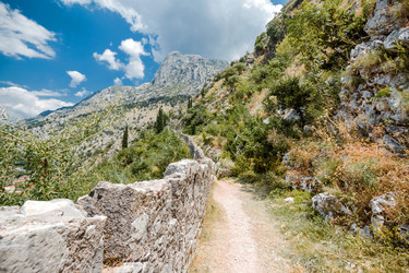 Similar image 21394570