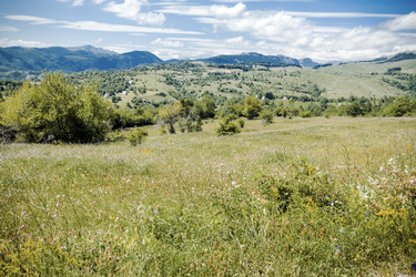 Similar image 21389654