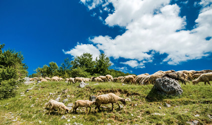 Similar image 21390851