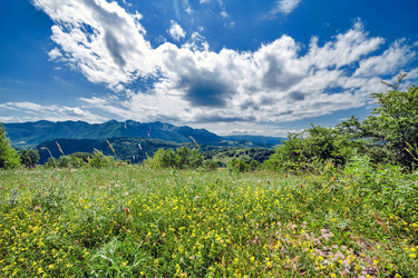 Similar image 21390927