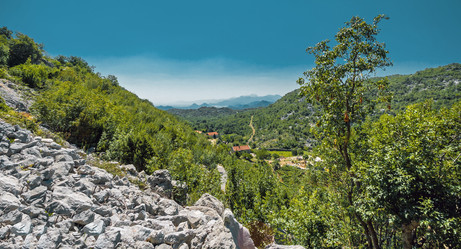 Similar image 21391014