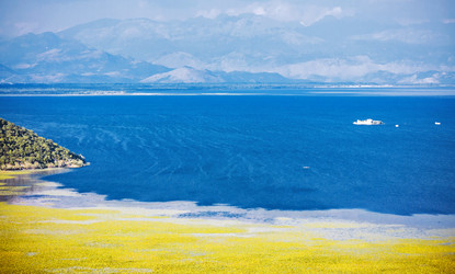 Similar image 21392807