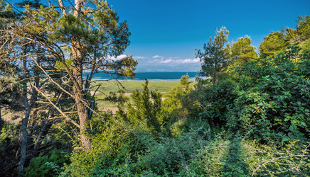 Similar image 21392815