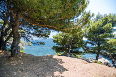 Similar image 21394041