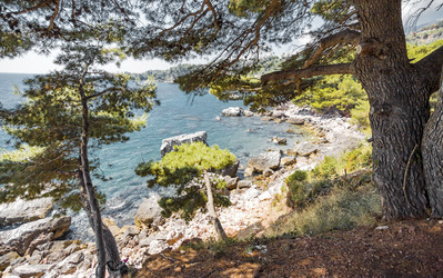 Similar image 21394042