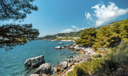 Similar image 21394045