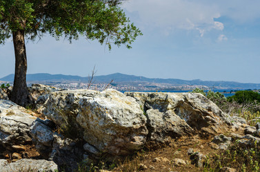 Similar image 21392477