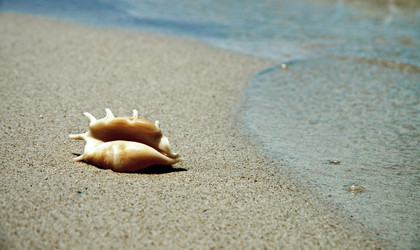 Similar image 21392830