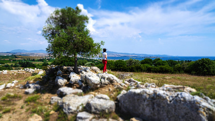 Similar image 21393184