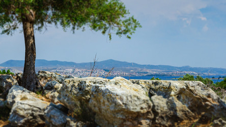 Similar image 21393440