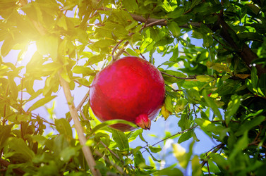 Similar image 21393447