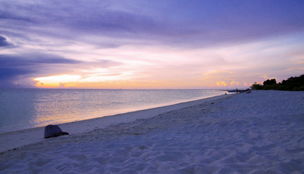 Similar image 21391441