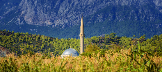 Similar image 21391691