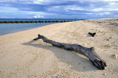 Similar image 21391699