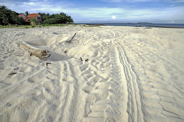 Similar image 21392003