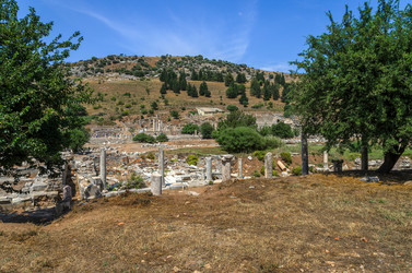 Similar image 21392212