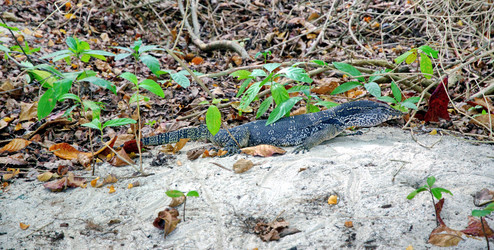 Similar image 21392213