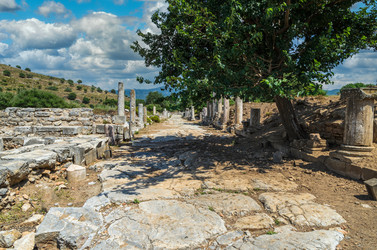 Similar image 21392485