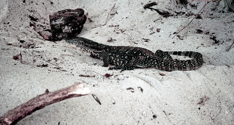 Similar image 21392836