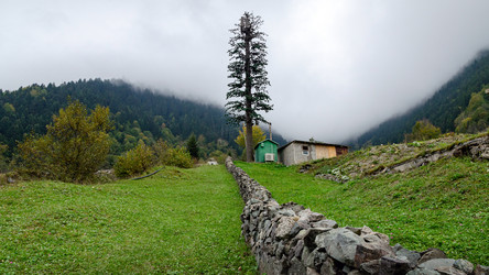 Similar image 21389915