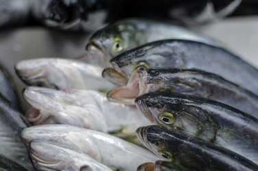 Similar image 21389919