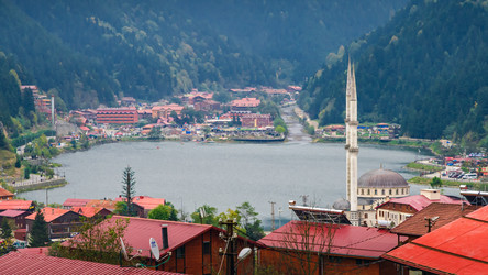 Similar image 21389920