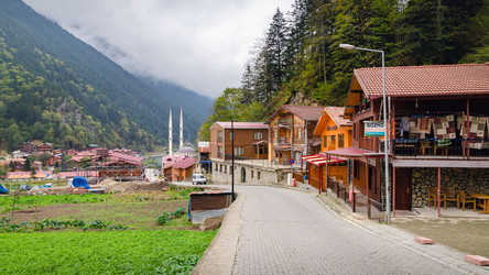 Similar image 21390799