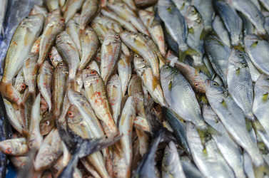 Similar image 21394581