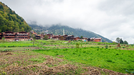 Similar image 21394582