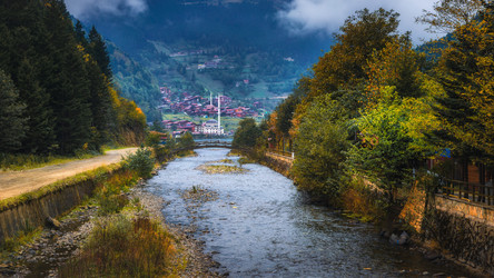 Similar image 21394584